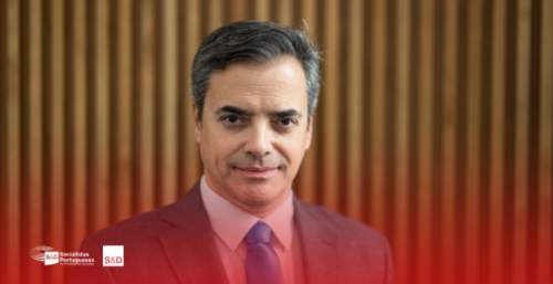 O triunfo dos brutos O triunfo dos brutos