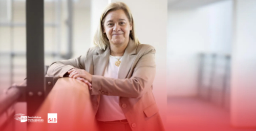 “Vemos com preocupação o valor que a Comissão quer alocar a Portugal” “Vemos com preocupação o valor que a Comissão quer alocar a Portugal”